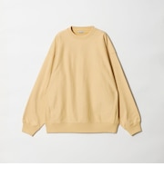 ＜Steven Alan＞ ウラケ セットイン クルーネック スウェット