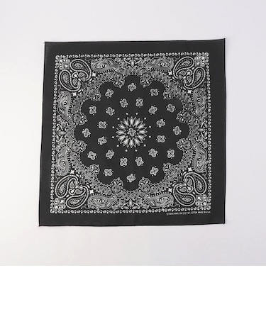 【HAV-A-HANK】PAISLEY BANDANNA