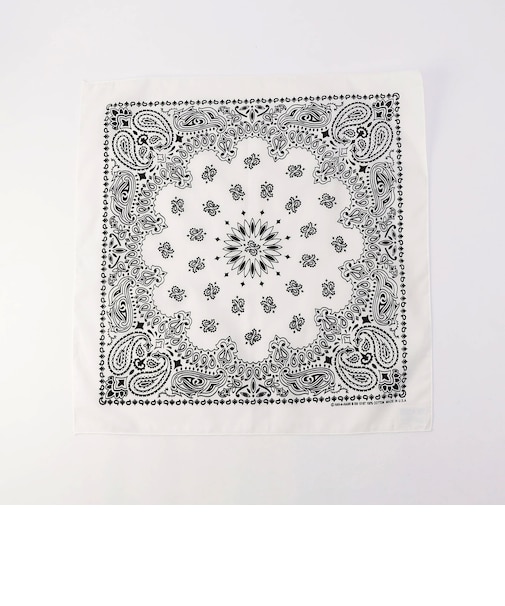 【HAV-A-HANK】PAISLEY BANDANNA