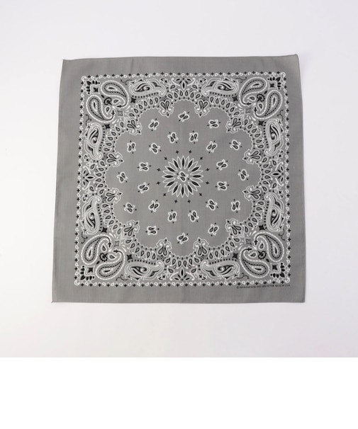 【HAV-A-HANK】PAISLEY BANDANNA