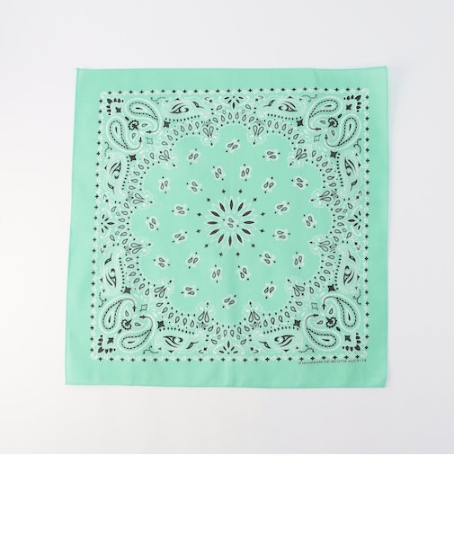 【HAV-A-HANK】PAISLEY BANDANNA