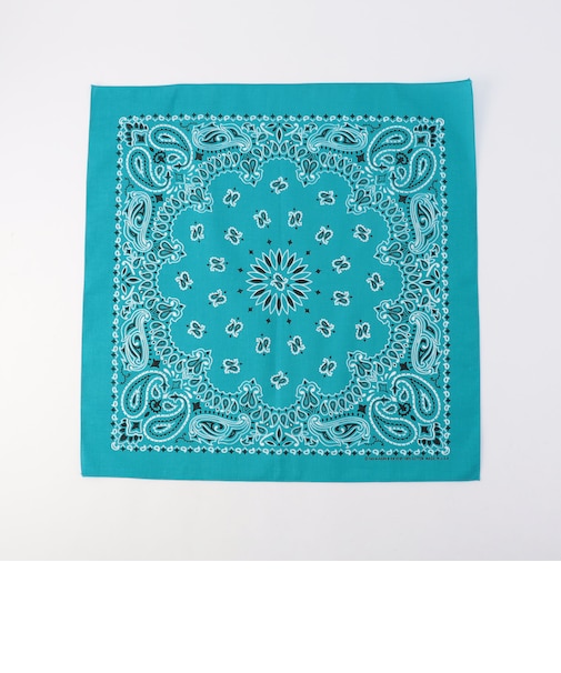 【HAV-A-HANK】PAISLEY BANDANNA