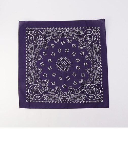 【HAV-A-HANK】PAISLEY BANDANNA