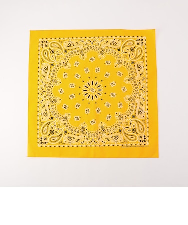【HAV-A-HANK】PAISLEY BANDANNA