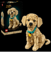 ゴールデンレトリバーの子犬  