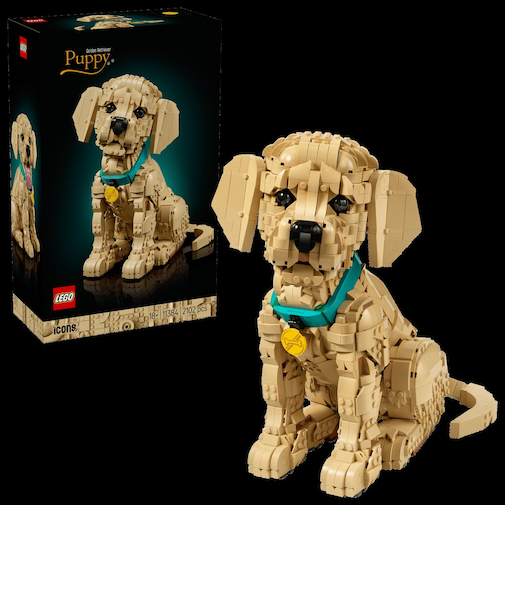 ゴールデンレトリバーの子犬