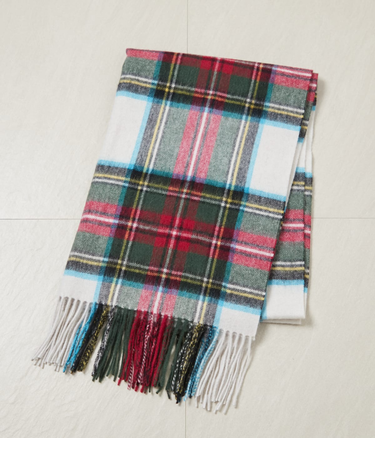 チェックライトストール