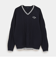 ケーブル編みポリエステルＶネックニット