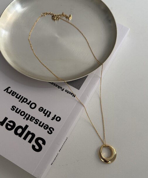 【サージカルステンレス】サークルリングネックレス