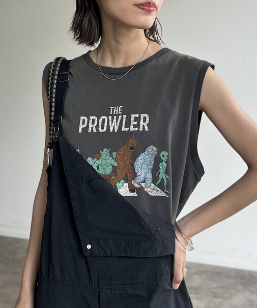 ノースリパウダーT