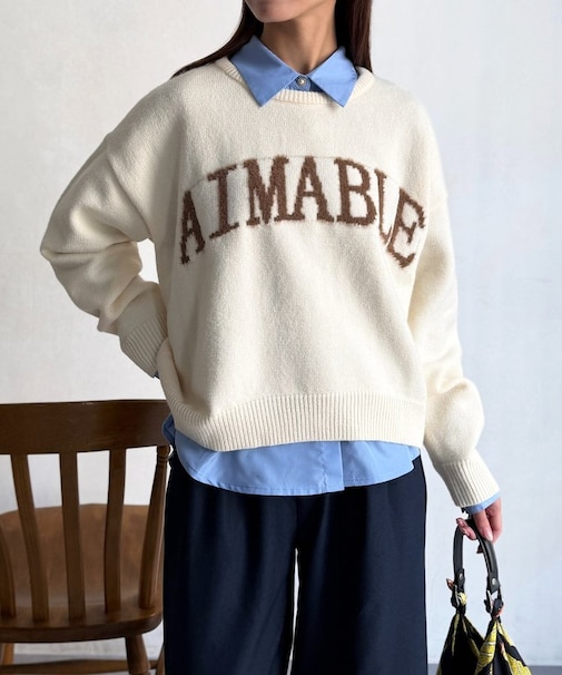 シャギーロゴニットプルオーバー