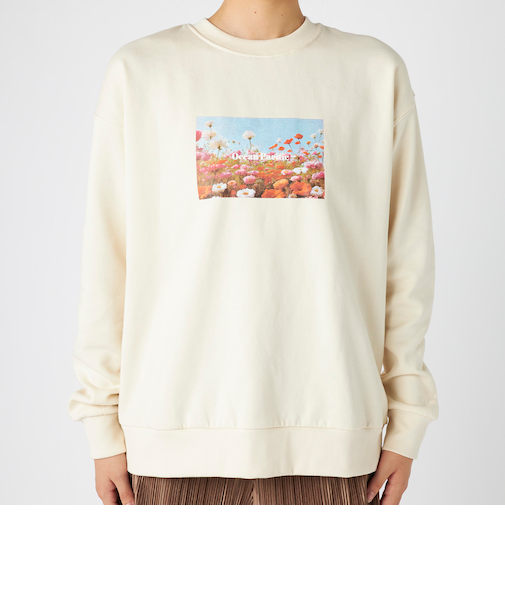 OceanPacific/オーシャンパシフィック クルースウェット