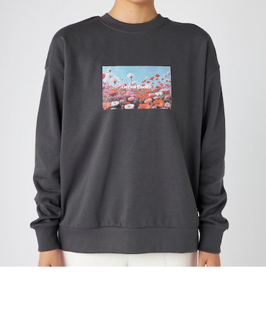 OceanPacific/オーシャンパシフィック クルースウェット