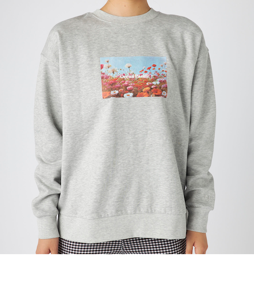 OceanPacific/オーシャンパシフィック クルースウェット