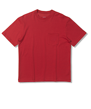 W･TCﾑｼﾞT S/S