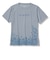 CｼｰﾙﾄﾞFﾌﾗﾜｰT S/S
