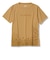 CｼｰﾙﾄﾞFﾌﾗﾜｰT S/S