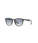 Ray-Banサングラス RB4259F 601/19-53 ボストンシェイプ