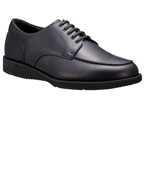 ESSENTIAL PRODUCTS REGAL CORPORATION　Uチップ<br>商品コード：V301