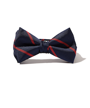 Southwick: レジメンタルストライプ ボウタイ