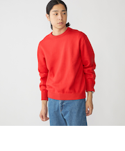 SHIPS:〈手洗い可能〉コットン カシミヤ 単色 クルーネック ニット