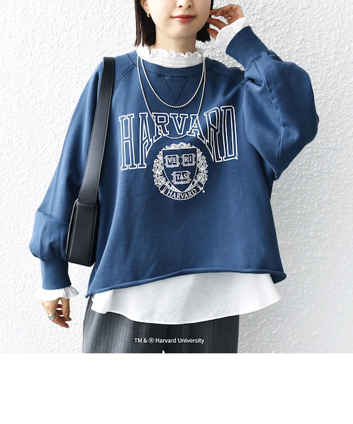 【SHIPS別注】〈洗濯機可能〉GOOD ROCK SPEED:COLLEGE SWEAT