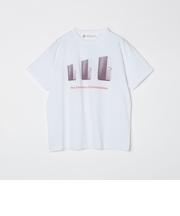 Ophrys: THE EVOLUTION OF CONSOL