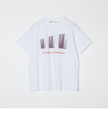 Ophrys: THE EVOLUTION OF CONSOL