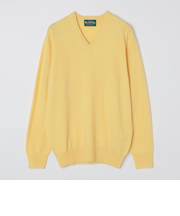 ALAN PAINE: 12ゲージ カシミヤ Vネックニット