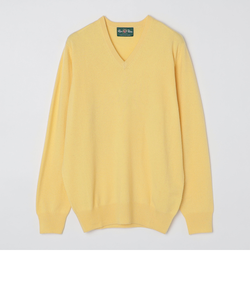 ALAN PAINE: 12ゲージ カシミヤ Vネックニット