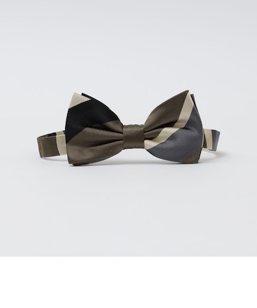 【SHIPS別注】Stefano Cau: シルク レジメンタル ボウタイ