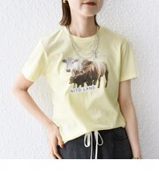 【SHIPS別注】ACASAM: フォト TEE