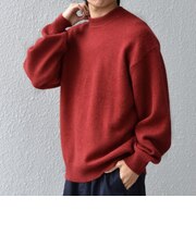 SHIPS any: LOUNGE FOX シャギー セミモックネック ニット◇