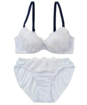 【EFカップ】ロゼアンティーク ブラ＆ショーツ ナイスフィットシリーズ