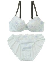 【EFカップ】ロゼアンティーク ブラ＆ショーツ ナイスフィットシリーズ