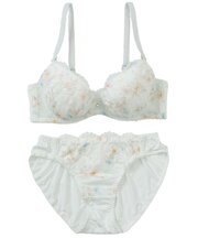 【EFカップ】フェデフルール ブラ＆ショーツ ナイスフィットシリーズ