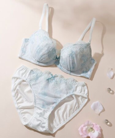 【EFカップ】ロマンティックローズプリント ブラ&ショーツ ナイスフィットシリーズ