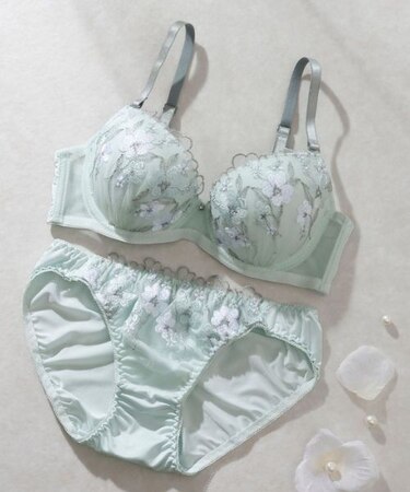 【EFカップ】刺しゅうレースソフトワイヤーブラ&ショーツ