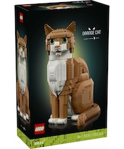 ジンジャーキャット