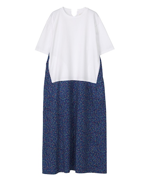 グラニュラードッキング