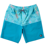 【OUTLET】Quiksilver TROPIC FEVER VOLLEY 20NB ボードショーツ メンズ