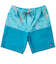 【OUTLET】Quiksilver TROPIC FEVER VOLLEY 20NB ボードショーツ メンズ
