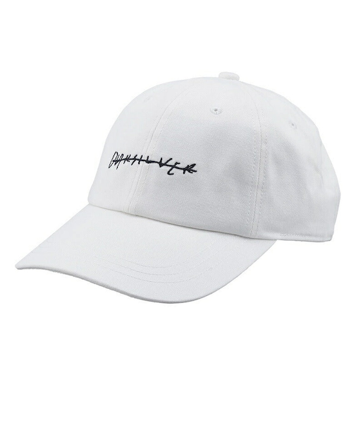 【OUTLET】Quiksilver DNA TYPE CAP キャップ メンズ