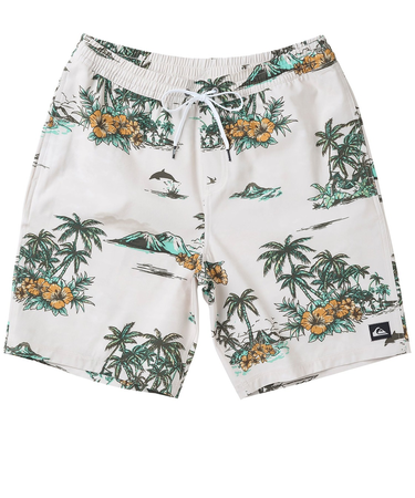 【OUTLET】Quiksilver LONGMAN HILL VOLLEY 20NB ボードショーツ メンズ