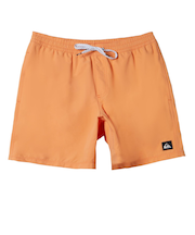 【OUTLET】Quiksilver EVERYDAY SOLID VOLLEY BOY 12 キッズ ボードショーツ