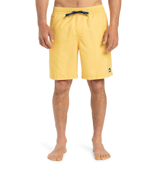 【OUTLET】Quiksilver EVERYDAY SOLID VOLLEY 19 メンズ ボードショーツ