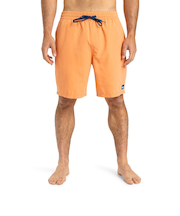【OUTLET】Quiksilver EVERYDAY SOLID VOLLEY 19 メンズ ボードショーツ