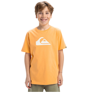 【OUTLET】【オンラインストア限定】Quiksilver EV COMP LOGO SS YTH キッズ トップス