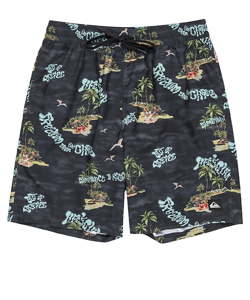 【OUTLET】Quiksilver EVERYDAY STRAIGHT VL 19 メンズ ボードショーツ