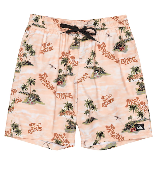 【OUTLET】Quiksilver EVERYDAY STRAIGHT VL 19 メンズ ボードショーツ
